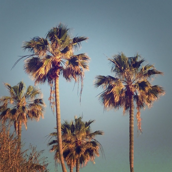 Meet your Posher - Picture 1 of 1